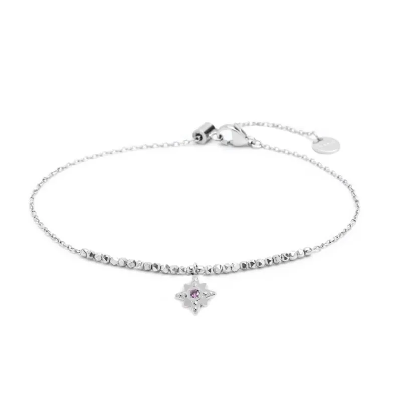 Hot Cavigliera rosa dei venti Cavigliere