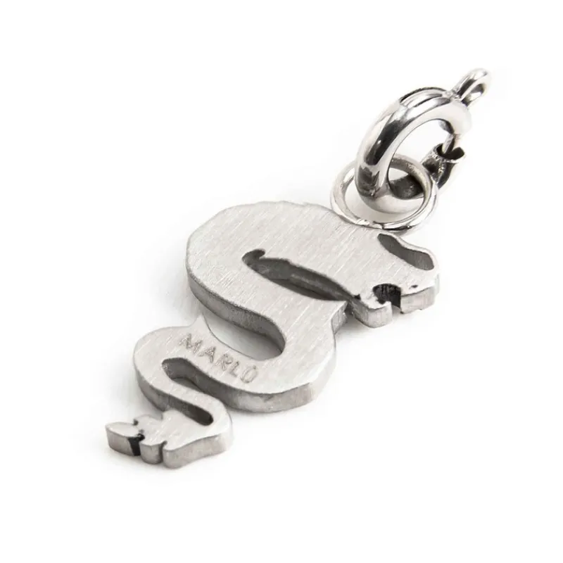 Best Charm drago Charms